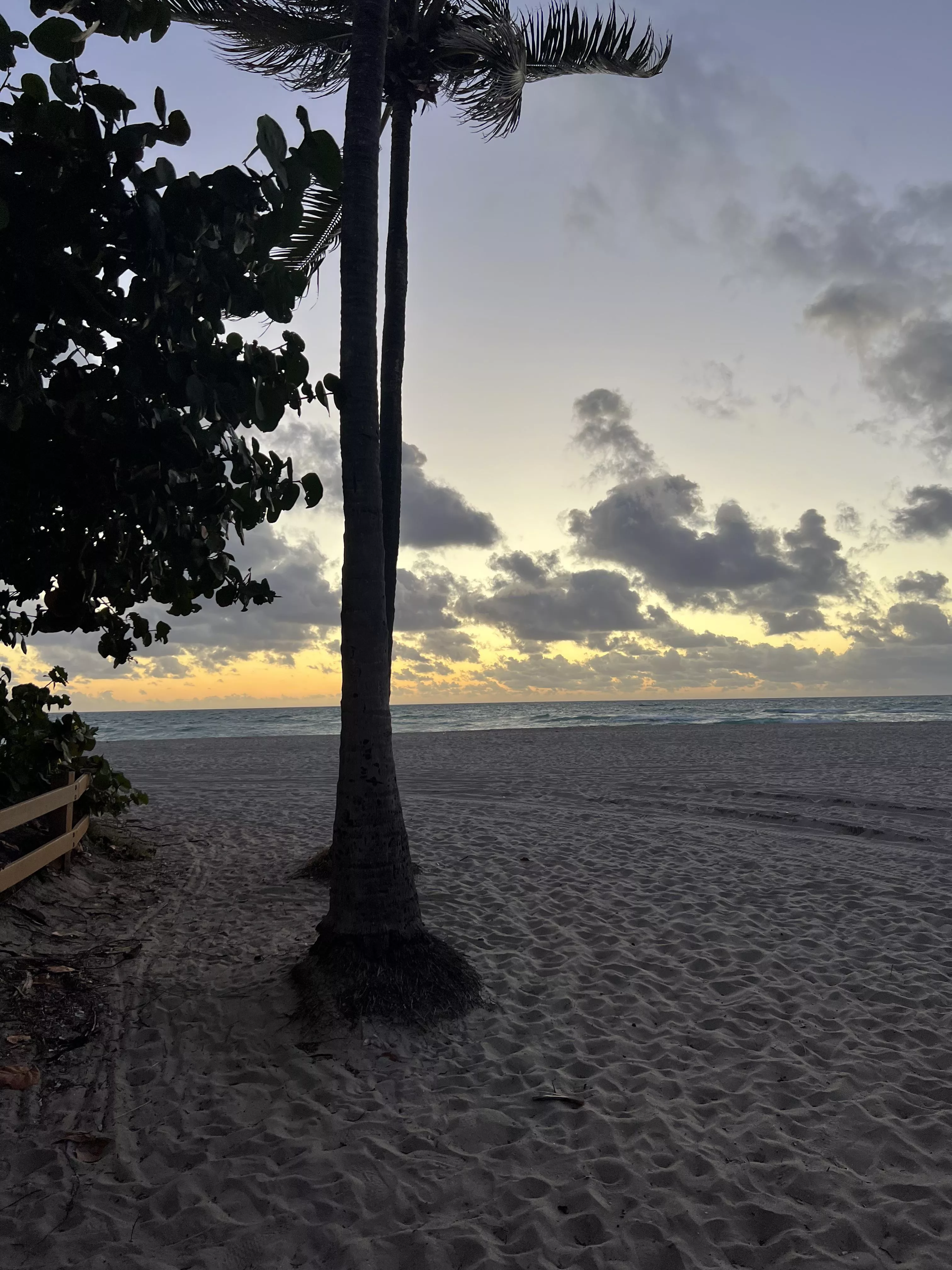 Beautiful as the person reading this ✨ posted by Lunayla