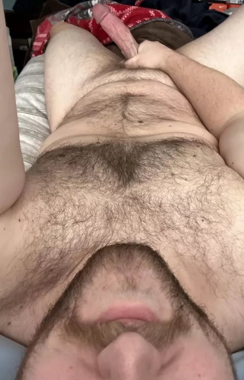 Could I convince you to join me? by PrudentWrangler7