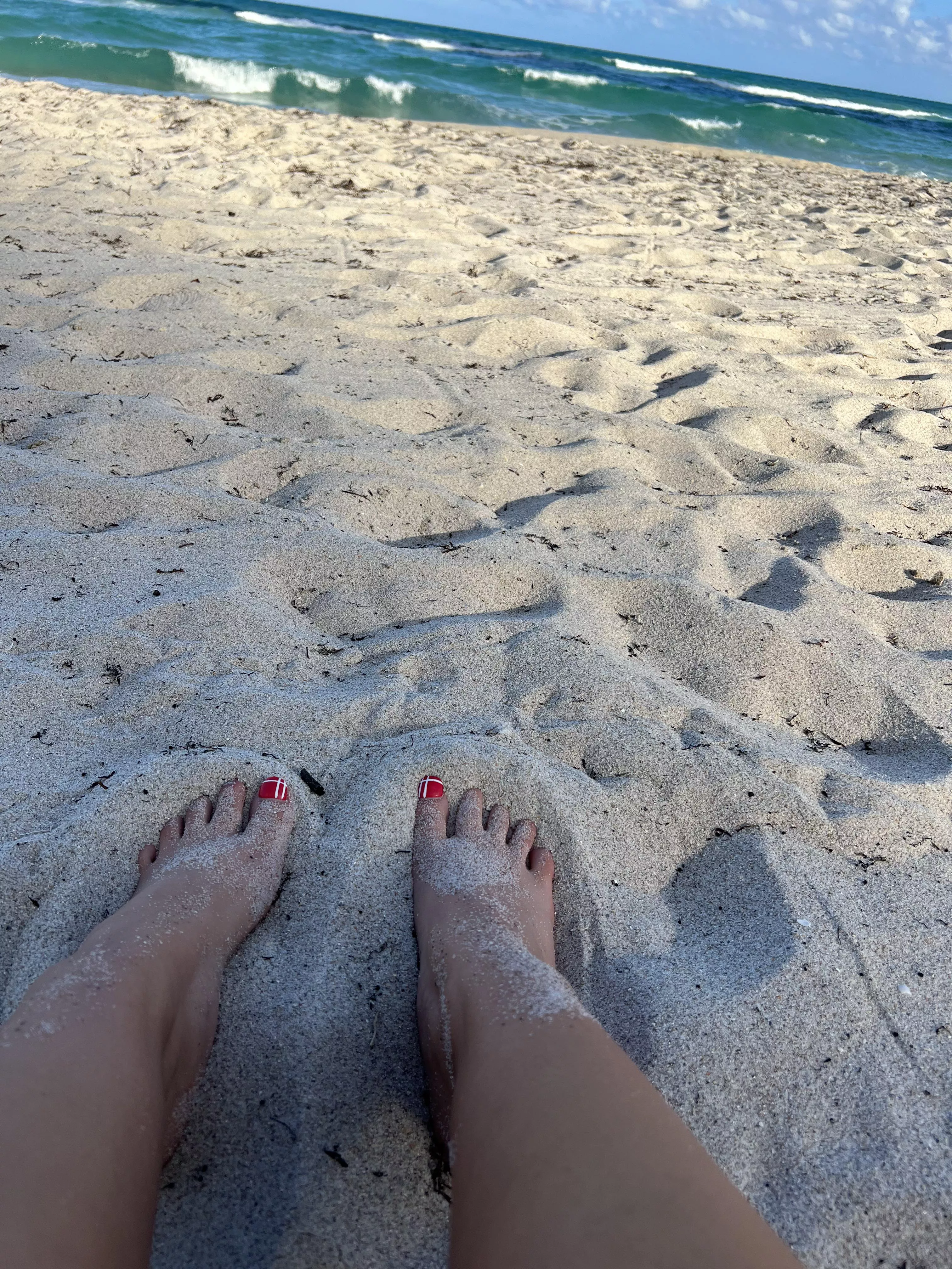 February in Florida posted by dalicious_