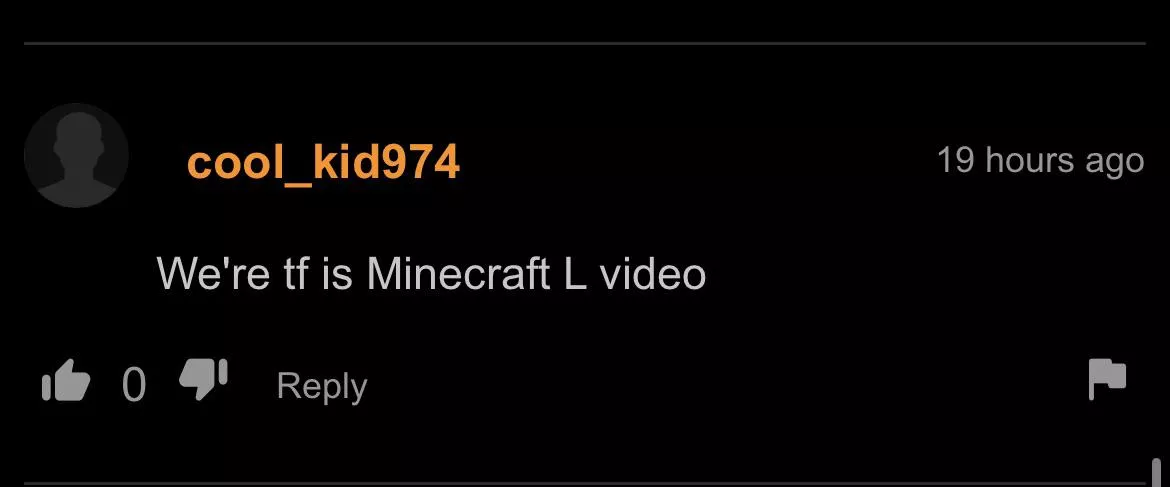 Get this man his minecraft video posted by FlatlandBTW