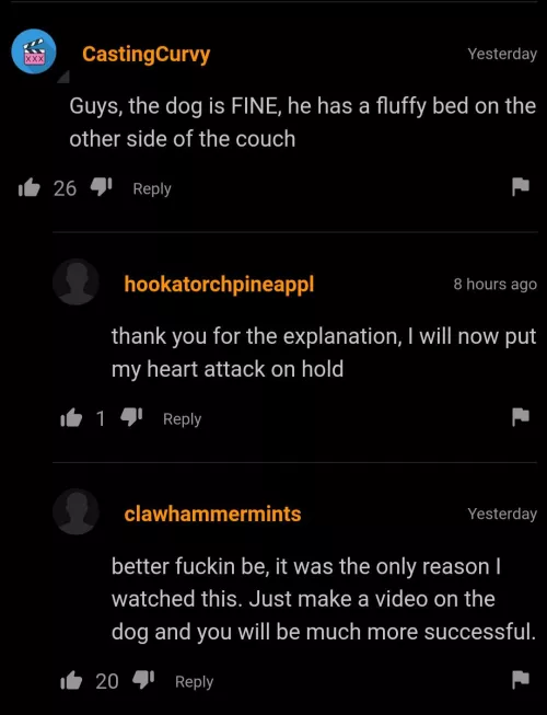 Gotta make sure the doggo is okay by batseer