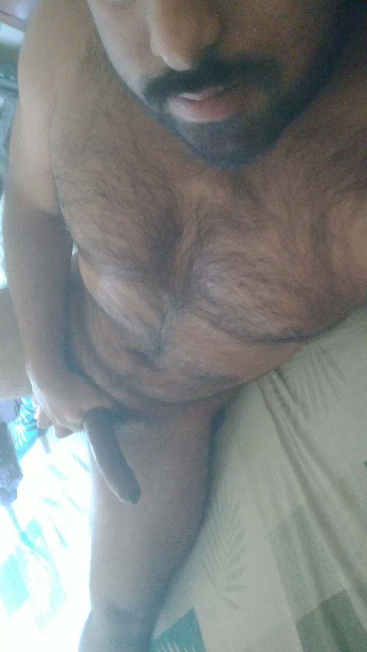 I've kinda grown attached to all this fur, do you like it? posted by MapCool