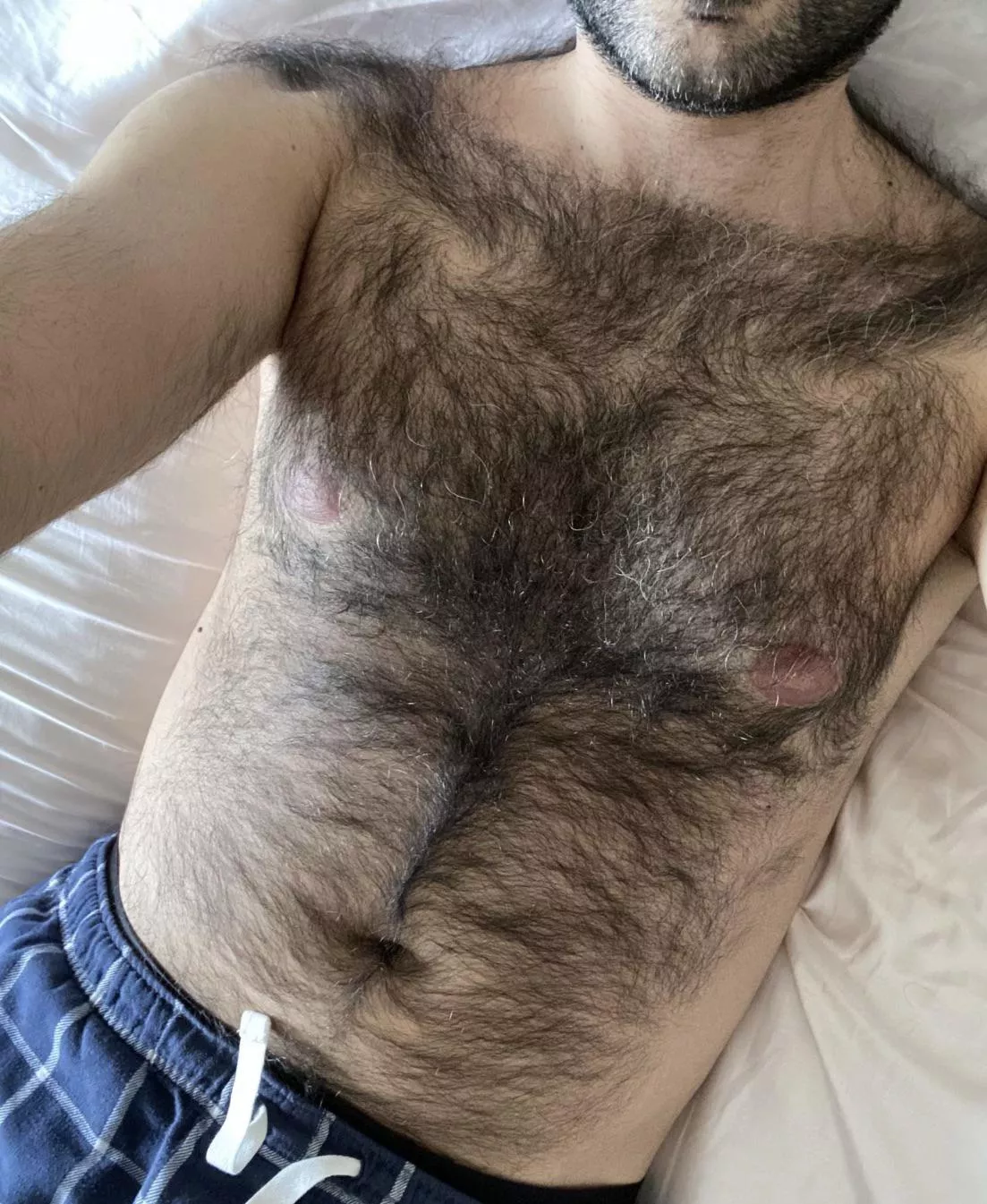 Looking for a hairy cute guy like me / otter + posted by Hairykingcanadian
