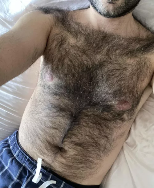 Looking for a hairy cute guy / otter type by Hairykingcanadian