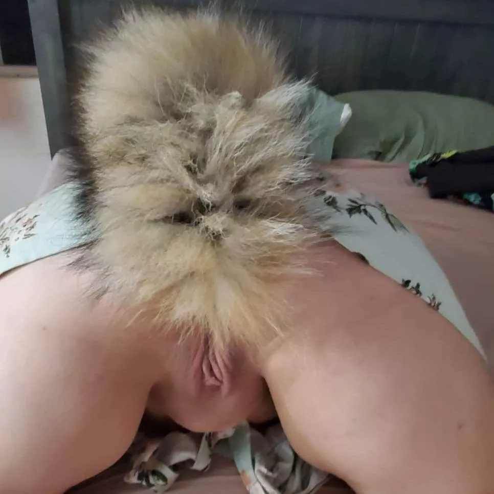 Love my fuzzy tail! posted by Panda_Spot