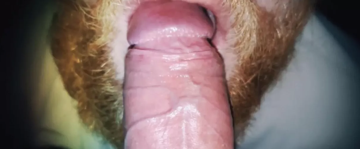 Taking it further than ever before, another first [35] by Sorry-Librarian-1417