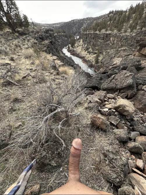 Trail fun by manilaboy1772