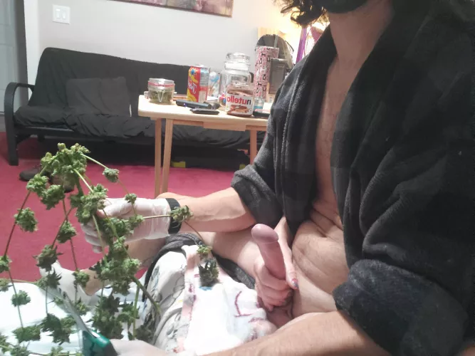 best way to trim (m) 40 by horny-couple420