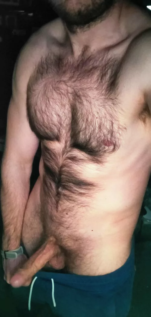 Chest hair porn check by sven_lv
