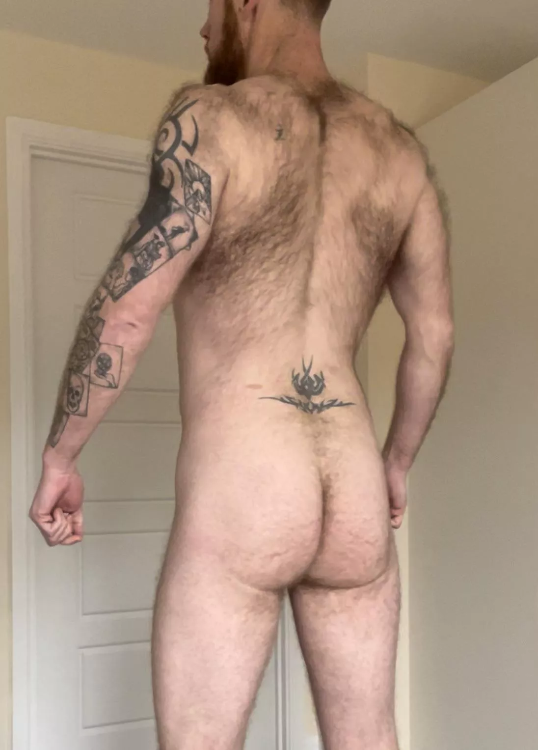 Do you like hairy guys? posted by gbrad1983