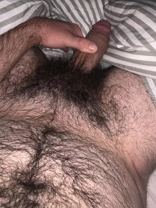 Getting a little bushy by mountainstuds