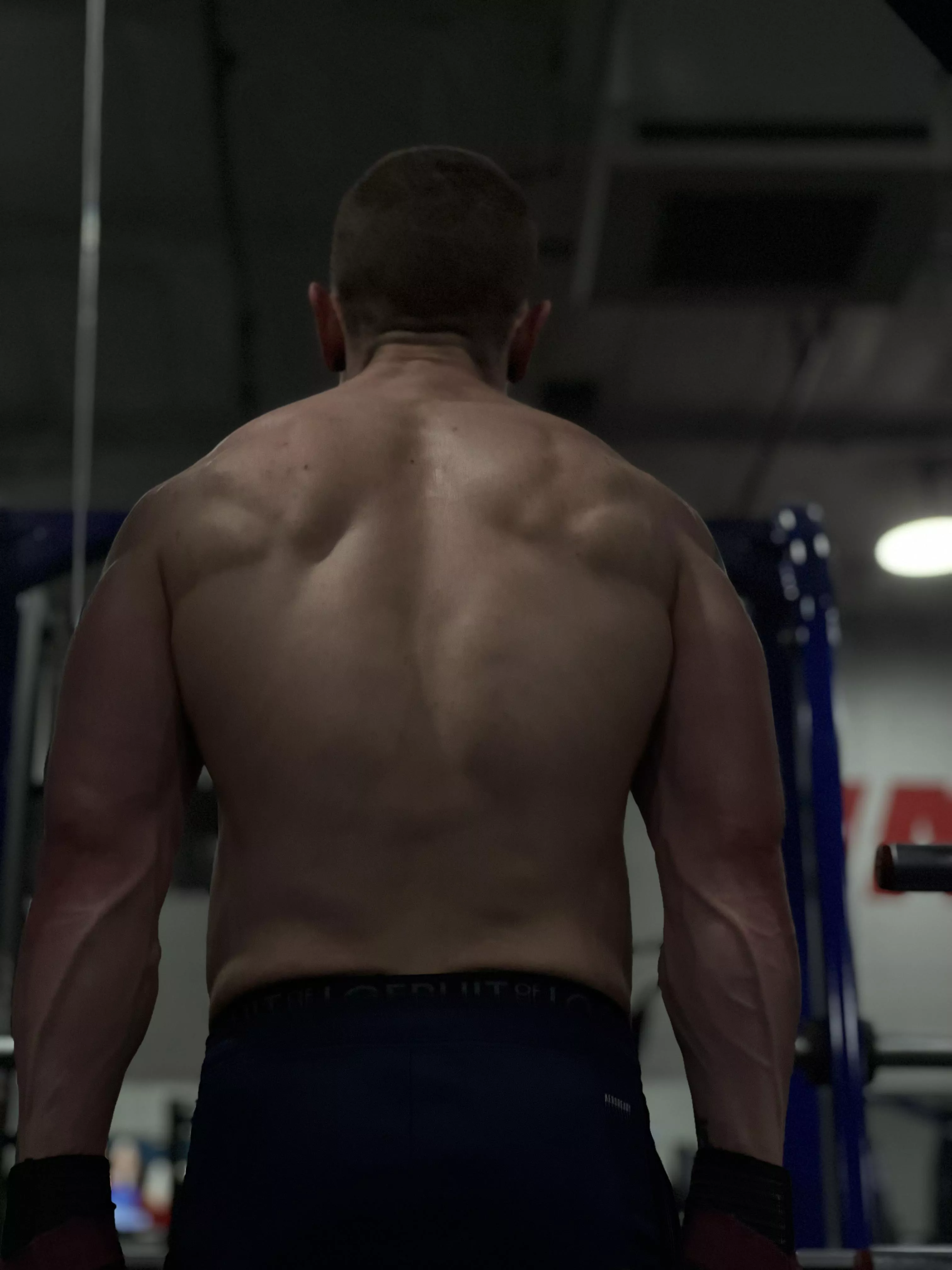 Getting more vascular posted by NearbySenpai