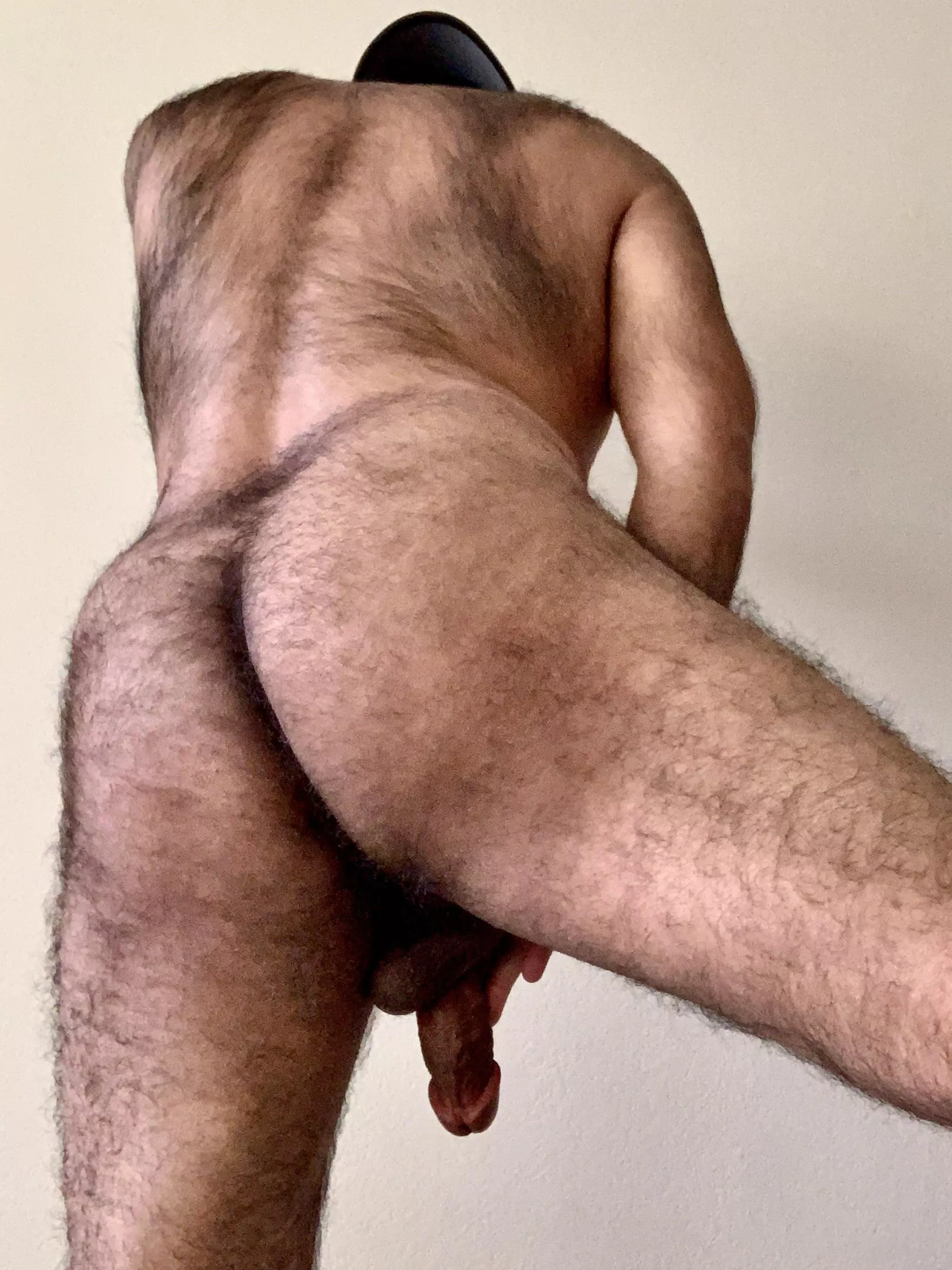 Hairy back, hairy butt, hairy balls. You like? posted by rybrady123