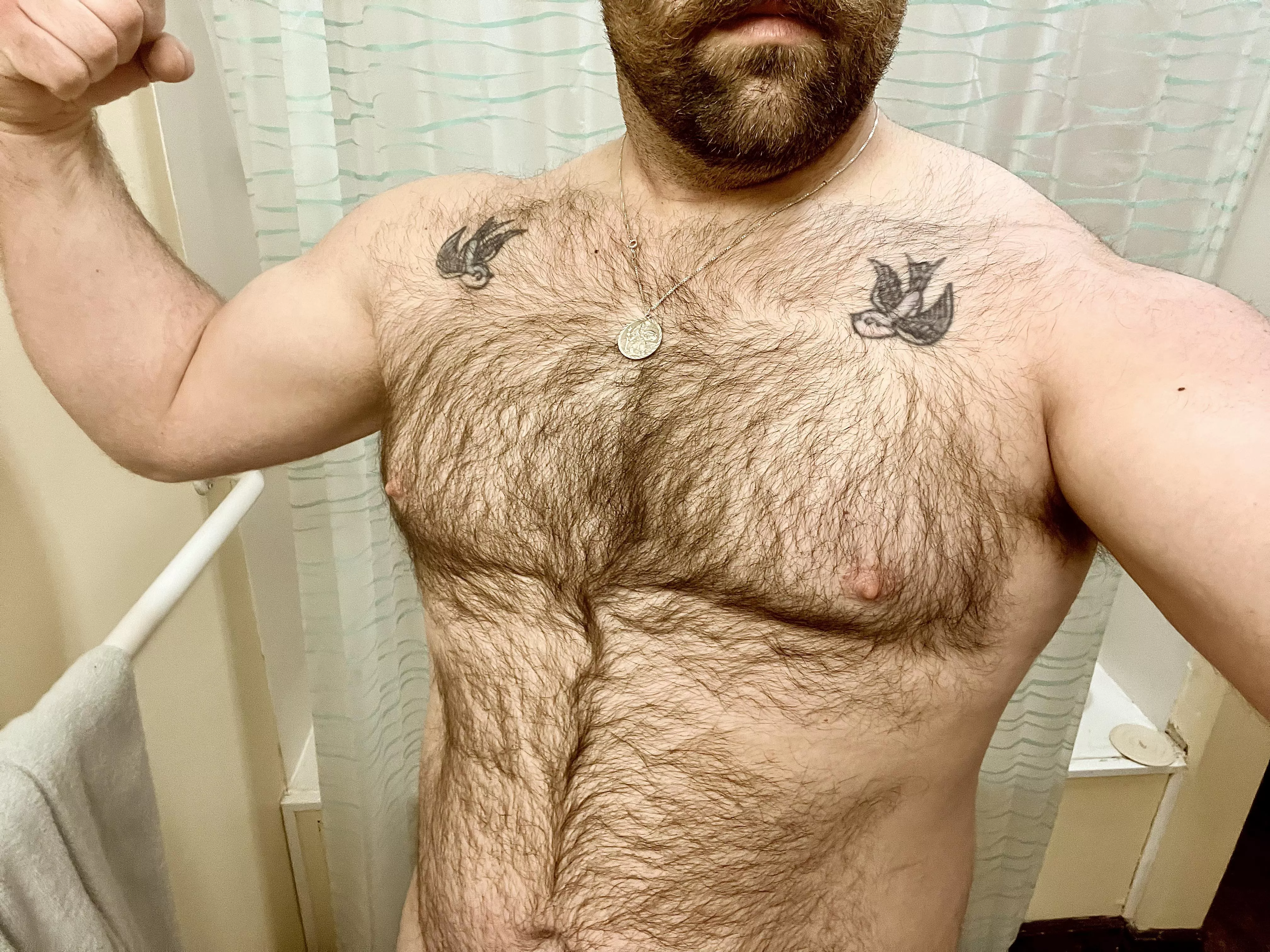 Hairy, bearded, strong shoulders 😉 Am i your type? posted by skooliefamilyjourney