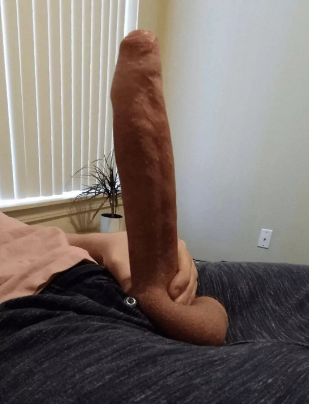 how’d you react if i pulled this out? posted by horsemeat___