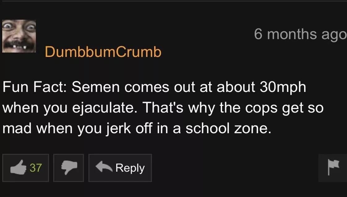 Oh, so that's why I got arrested last week! posted by caesuralWesley