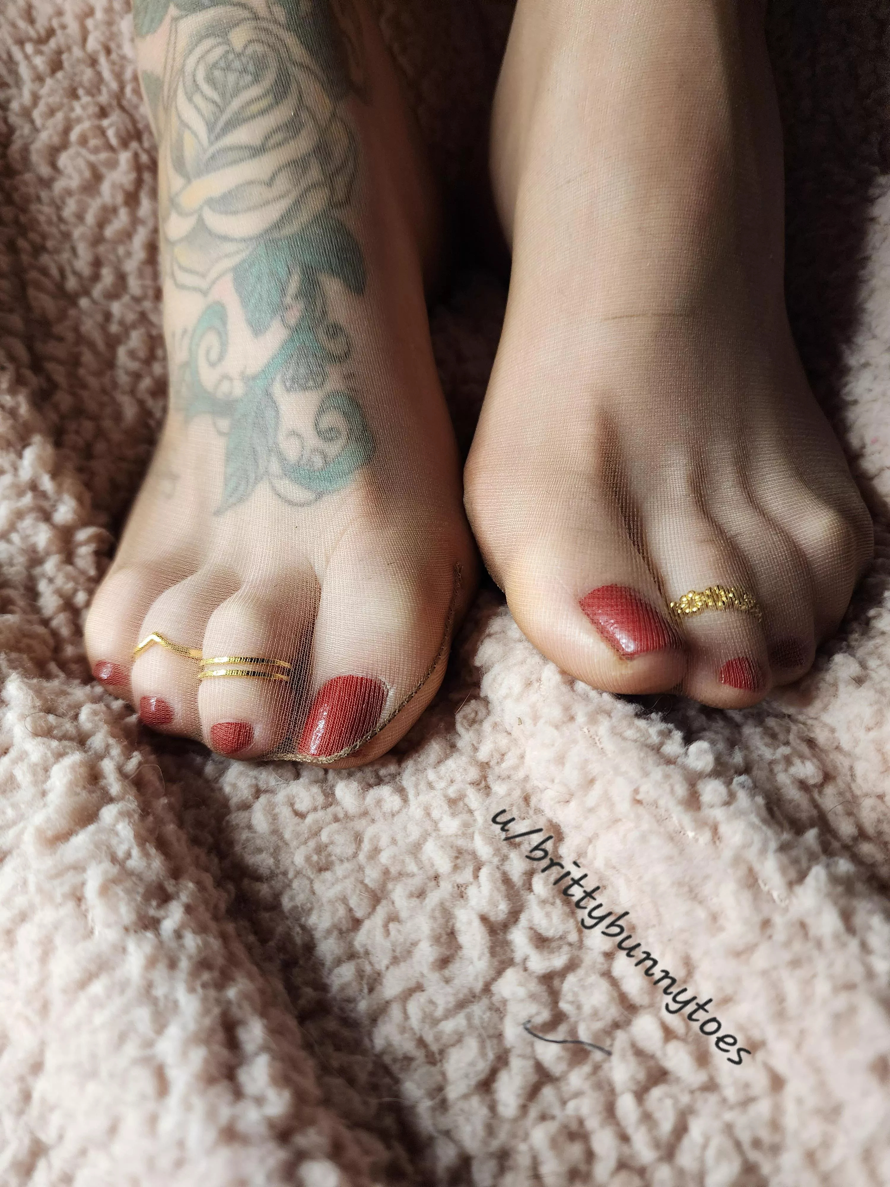 Red toes, gold rings, and nylons, the only thing missing is you 💖🐰💖 posted by Brittybunnytoes