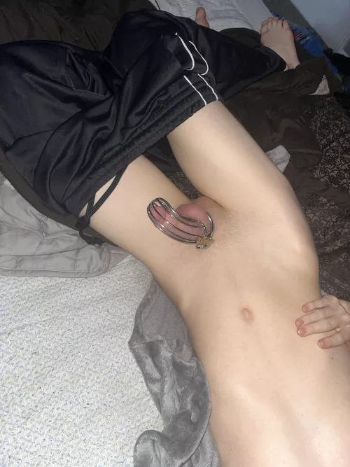 Sir has got me locked up just for him <3 :3 by NefariousnessAble279