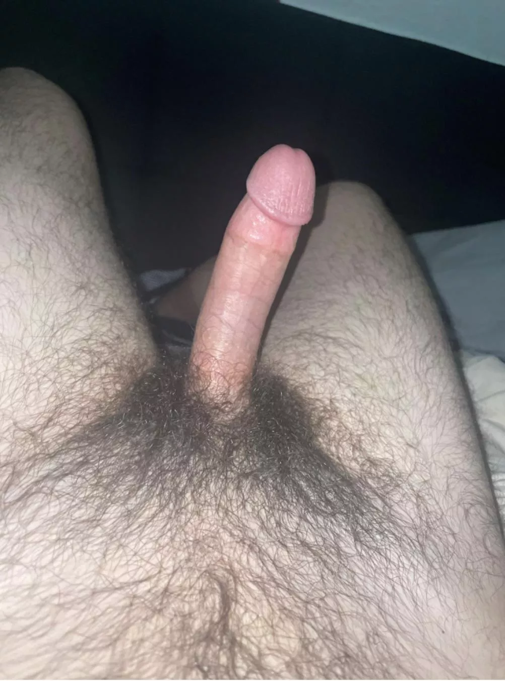 What you guys think ? posted by Constant_Brief235