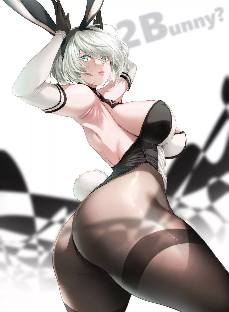 Yorha no. 2 Type B [Nier] posted by Ok_Truth4222