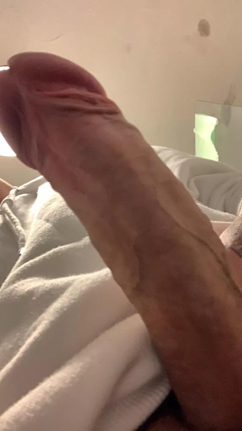 Dm me, bisexual male 😈 posted by morphine42069
