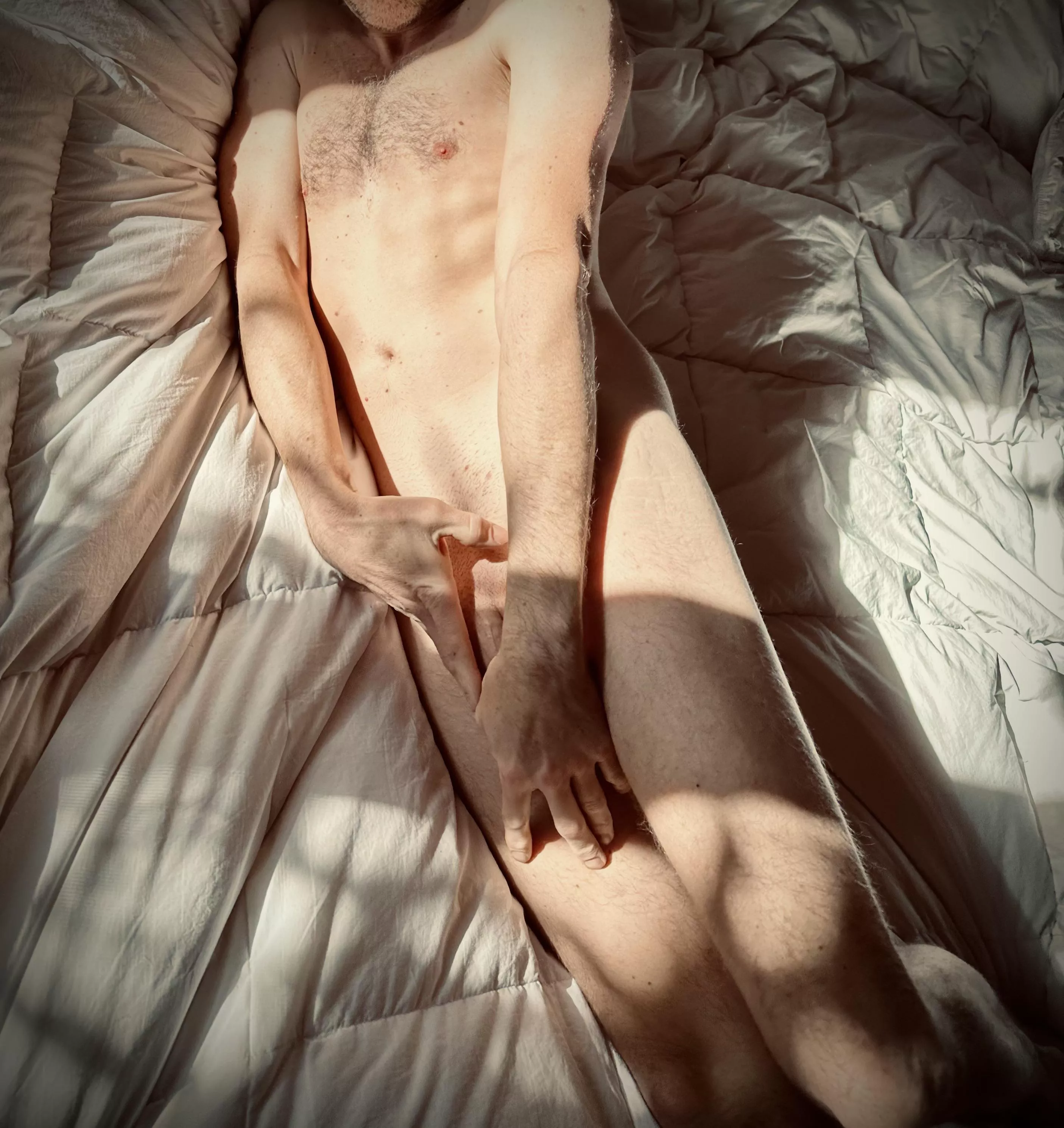 Do you prefer stretching in the sun or lurking in shadows? posted by StoneColdCox