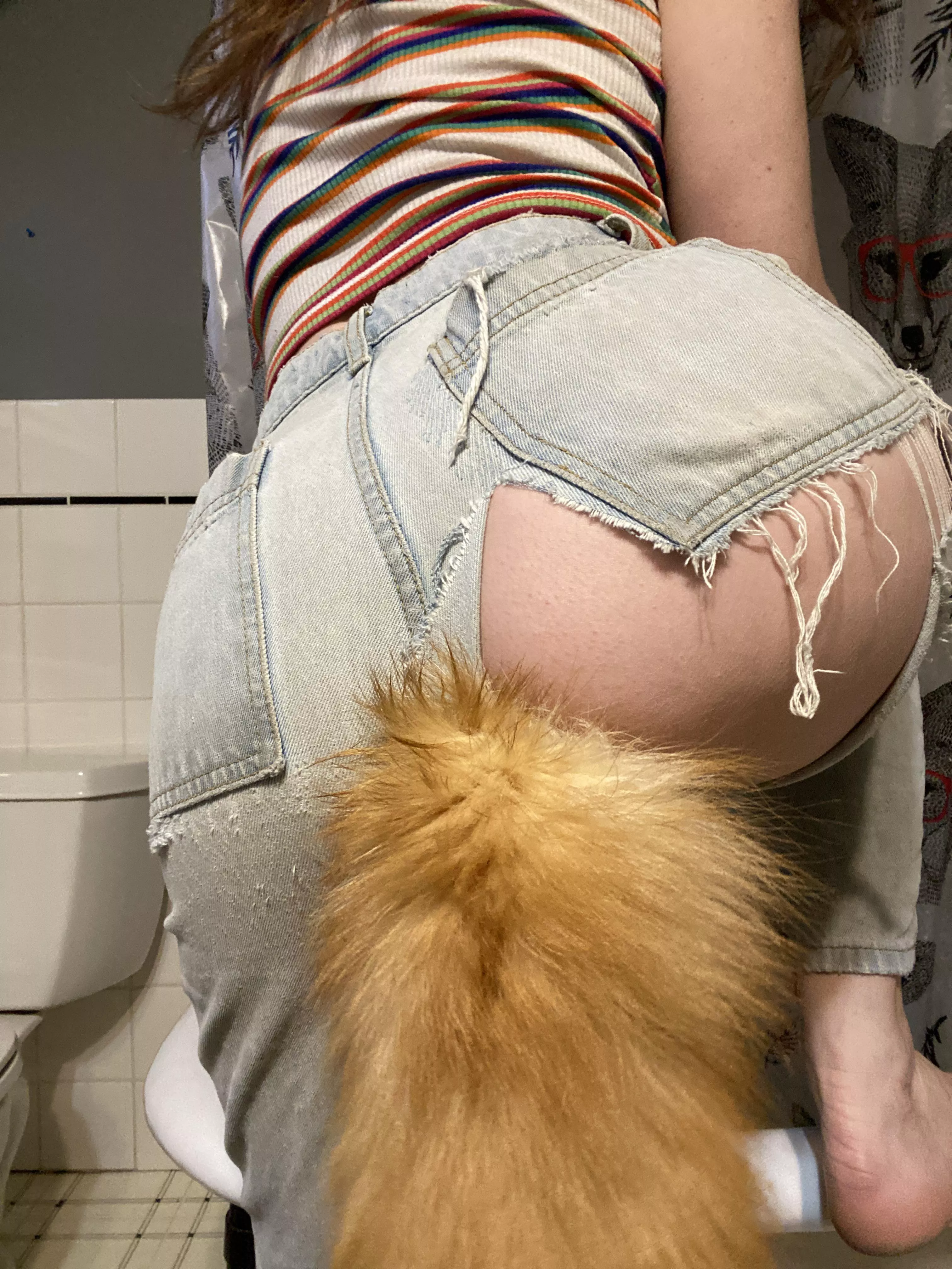 Foxy butt posted by girlfriendofkyoshi