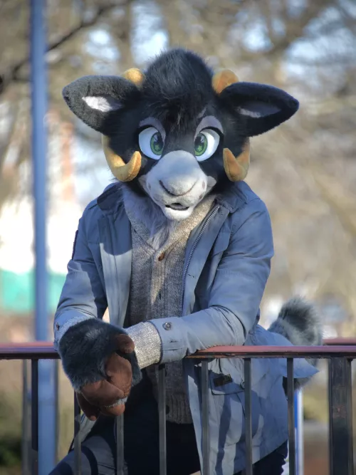 FursuitFriday - you lookin’ at my nub?? by stayawayfromthealien