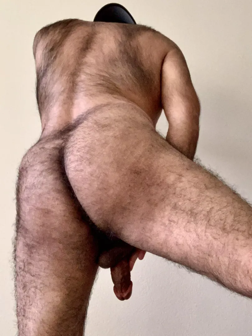 Hairy back, hairy butt, hairy balls. You like? by rybrady123
