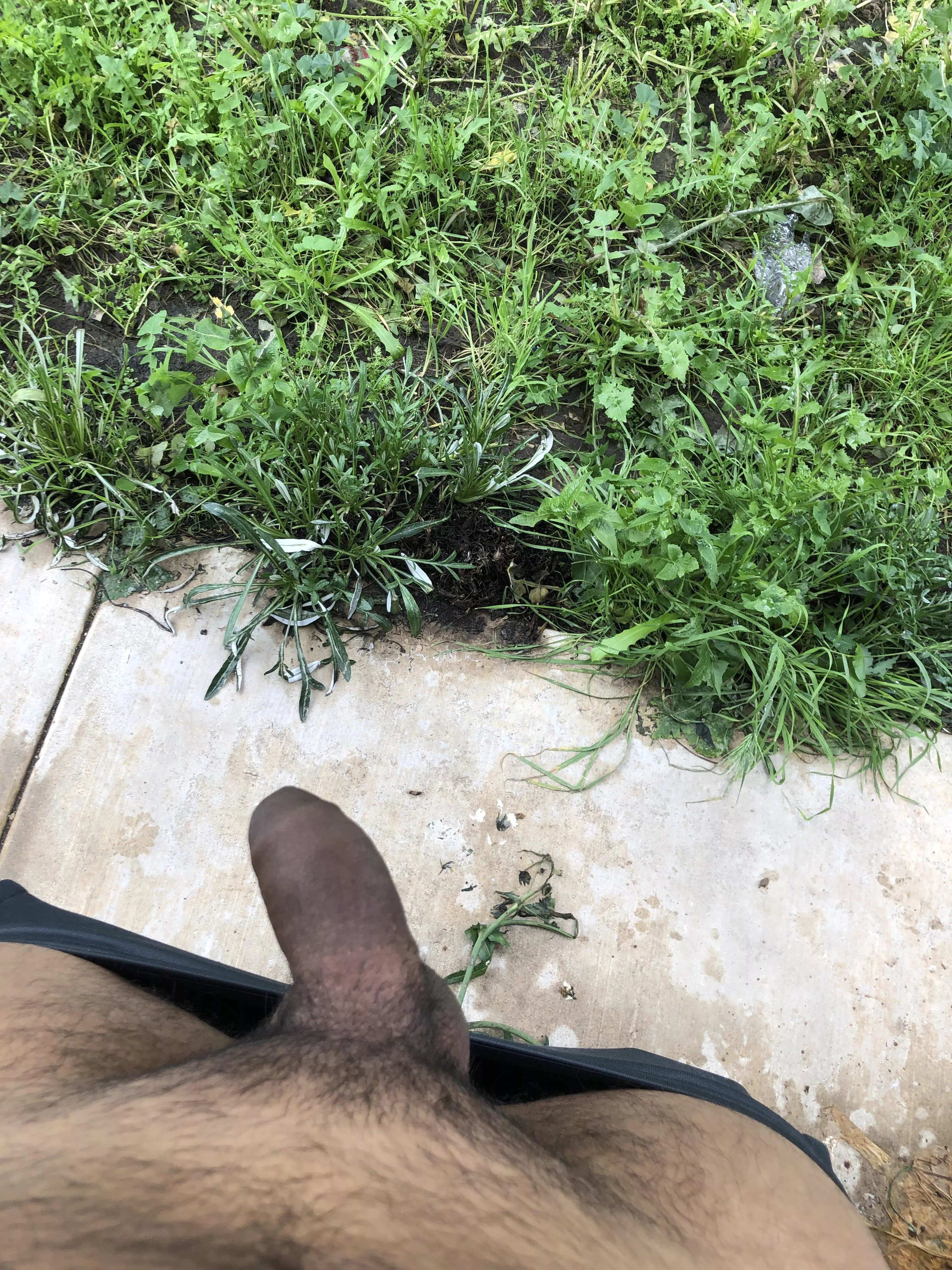 Just rolling some blunts with my cock out😜 posted by fitbreedingbull