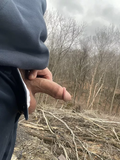 Love having my cock out by Serious-Share-1311