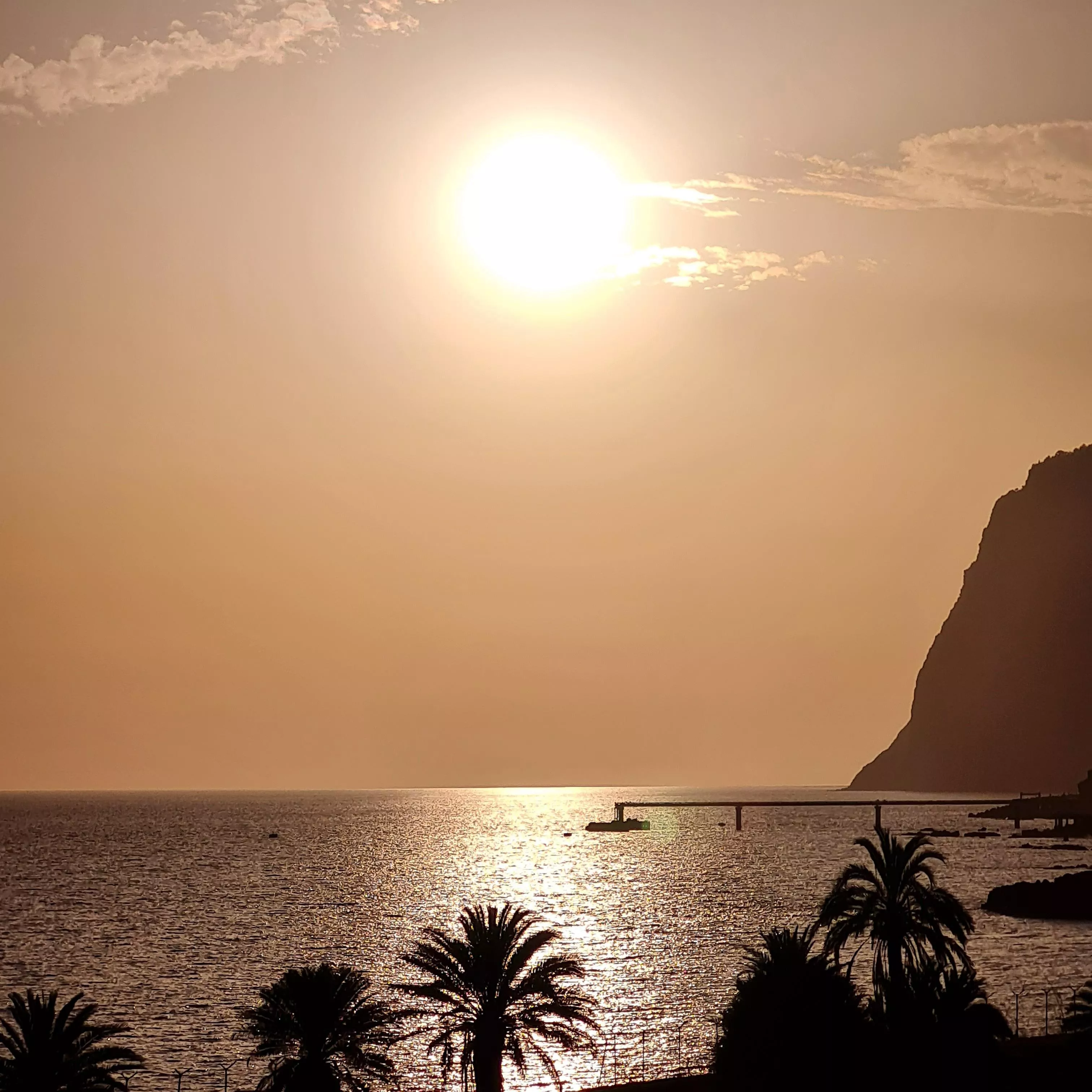 Madeira ❤️ Portugal posted by AnjaManuela