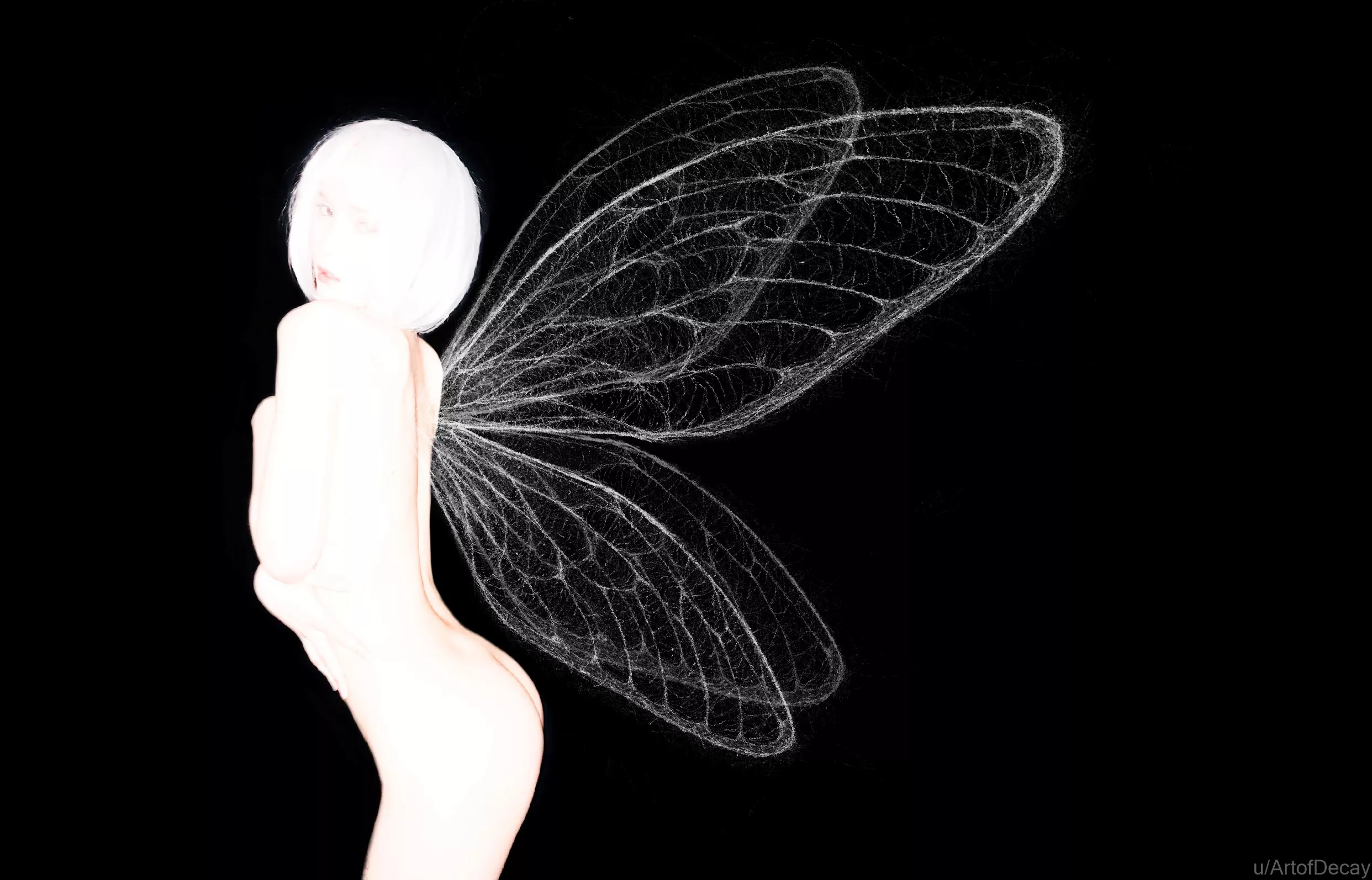 My drawing in the picture posted by ArtofDecay