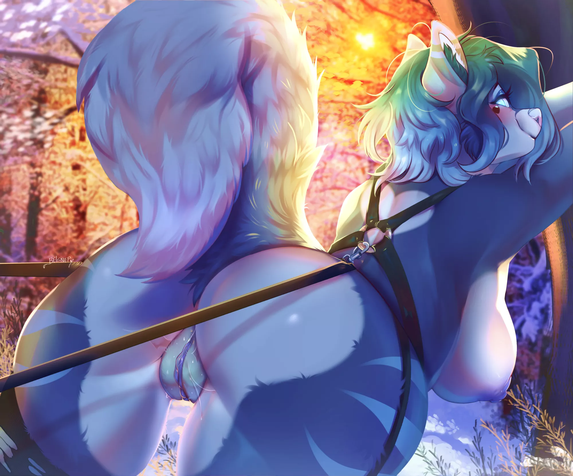 Sledding doggy wants a cuddle [F] (Nelami) posted by Wild-SK