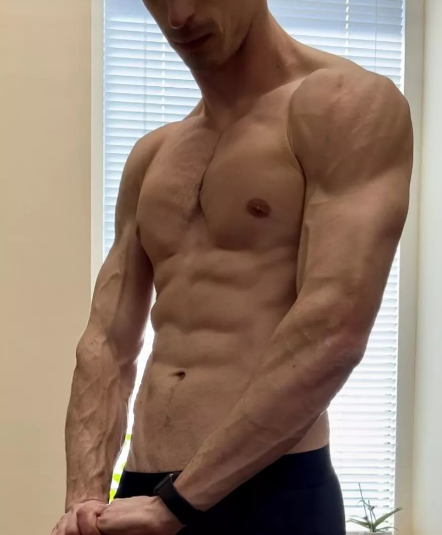 Warm afternoon sunlight in the office. posted by Shred_and_Bread