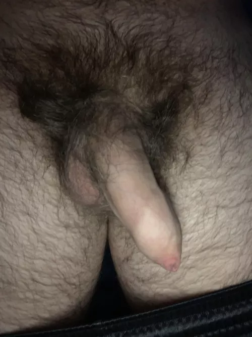 What y’all think? 19M by beesnes