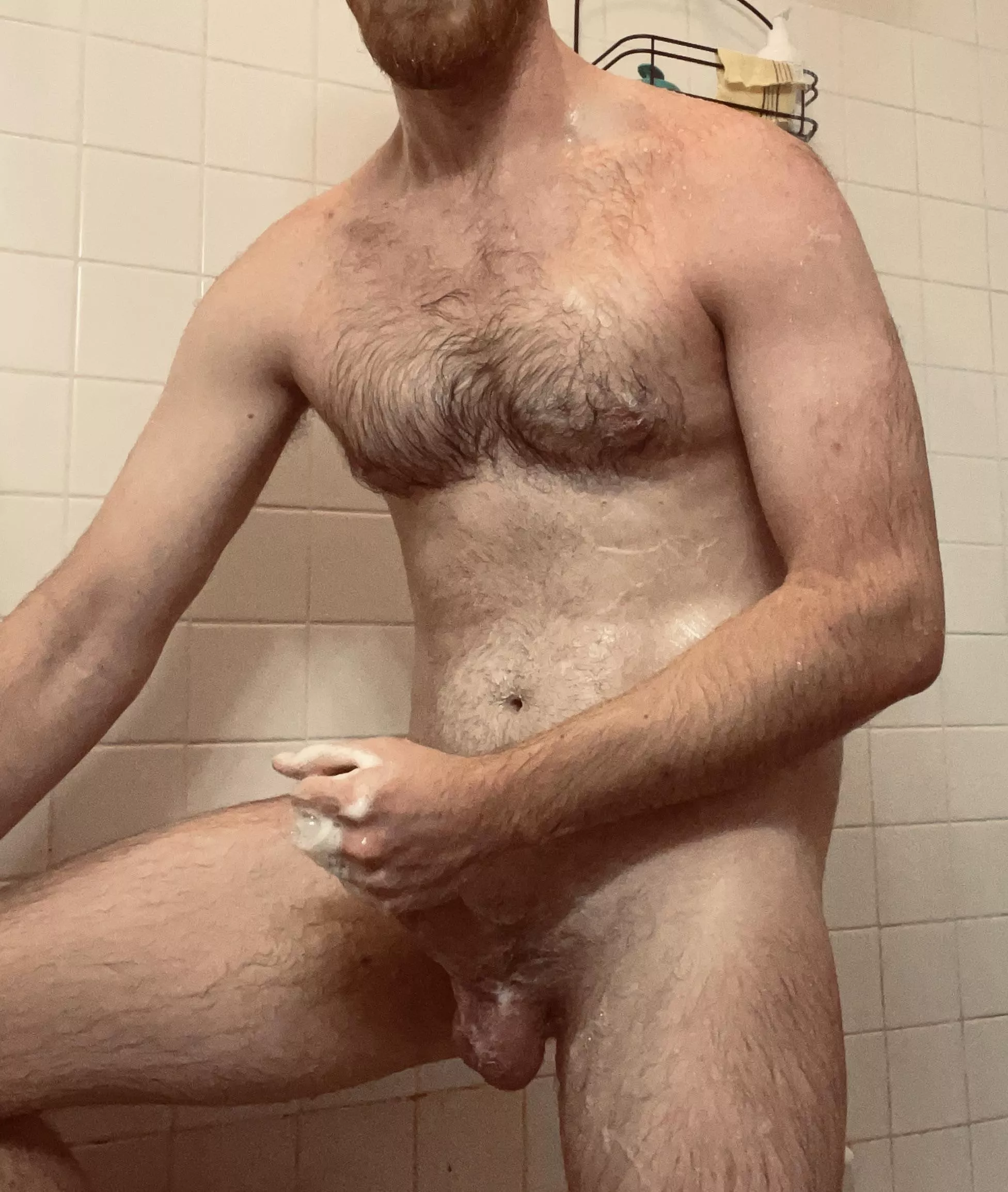 Would love to get my big soapy hands on you posted by MrSeymour_Butts