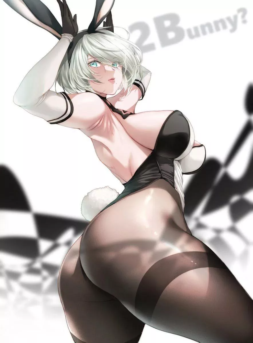 Yorha no. 2 Type B [Nier] posted by Ok_Truth4222