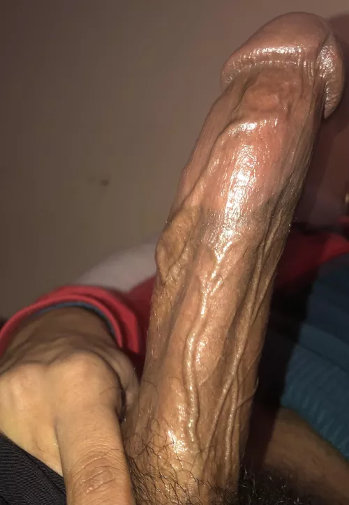 You already heard! Sit here now!! 🍫🥰 by Additional-Morning15