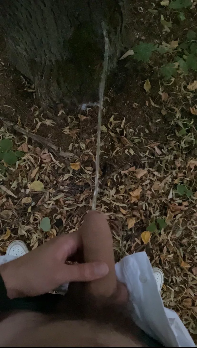 19 curious Comment what would you do to me 😈 posted by blasiestorwell