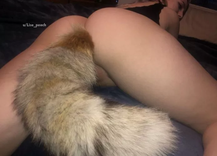 can I be your little pet by lise_peach