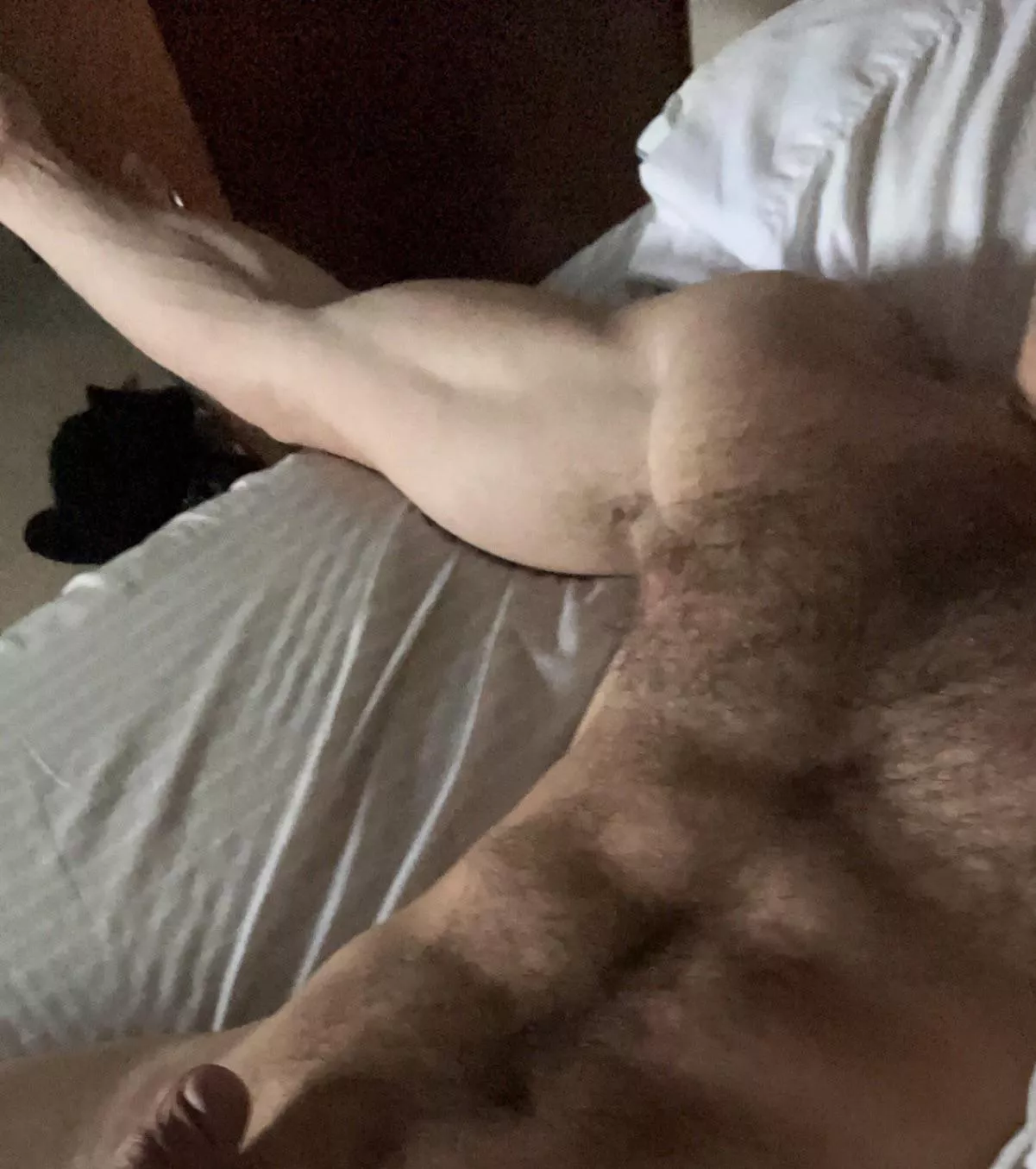 Cuddle with me? posted by northernjock