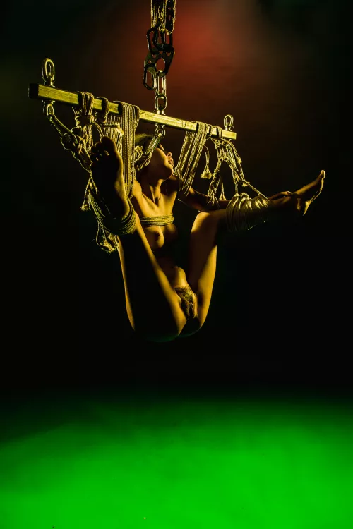 Dinnerman [F] strung and slung. rope and photo by me. by CrushedVelvetX