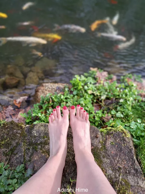 Do you enjoy the view? by adashi_hime