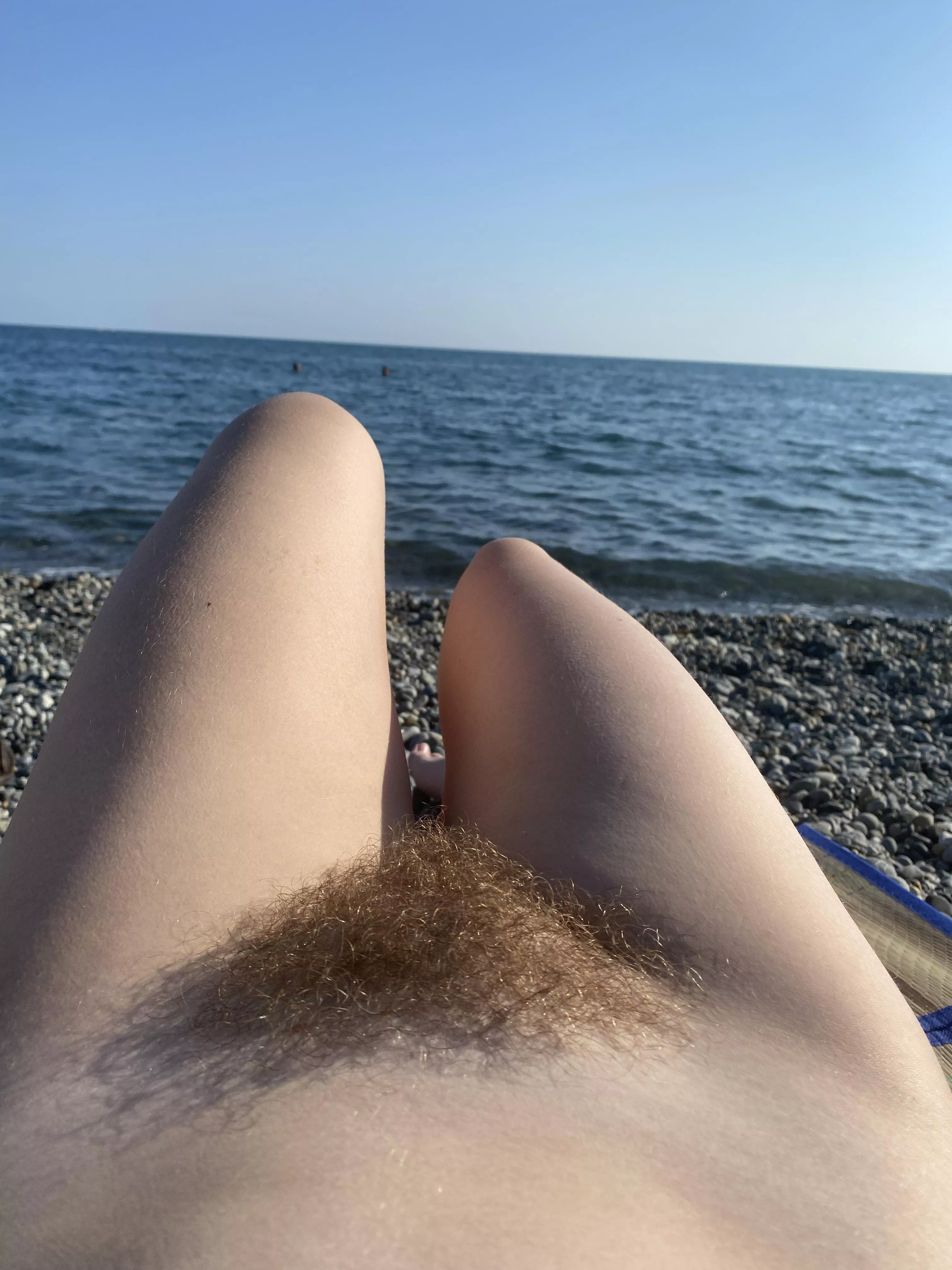 Do you like my bush? posted by abbysunny