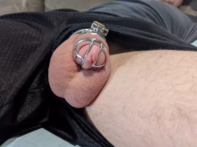 he always behaves so well when he's locked up. by whisperingwildflower