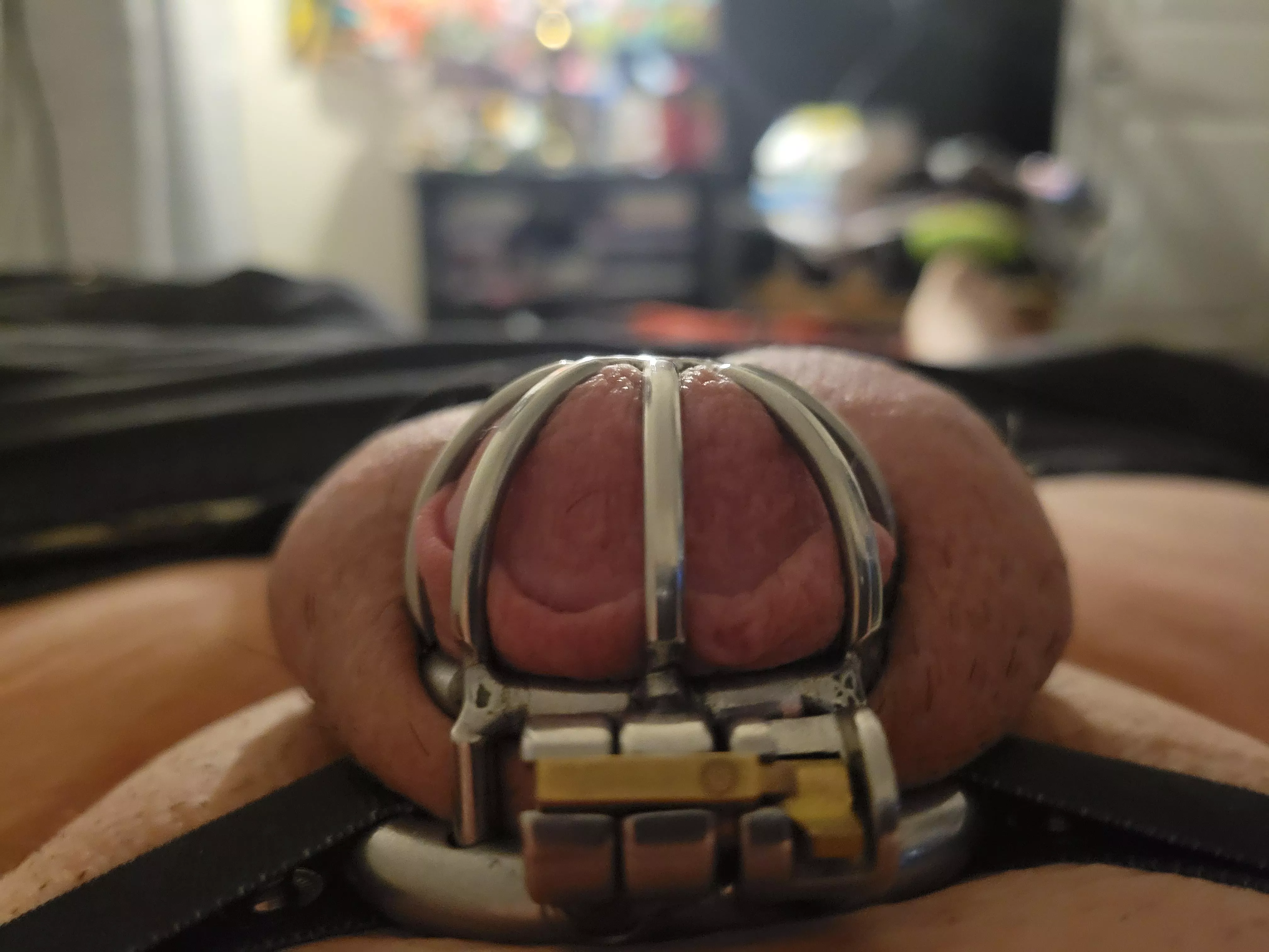 I don't think I can get hard anymore without girl dick. posted by memestealer900000000