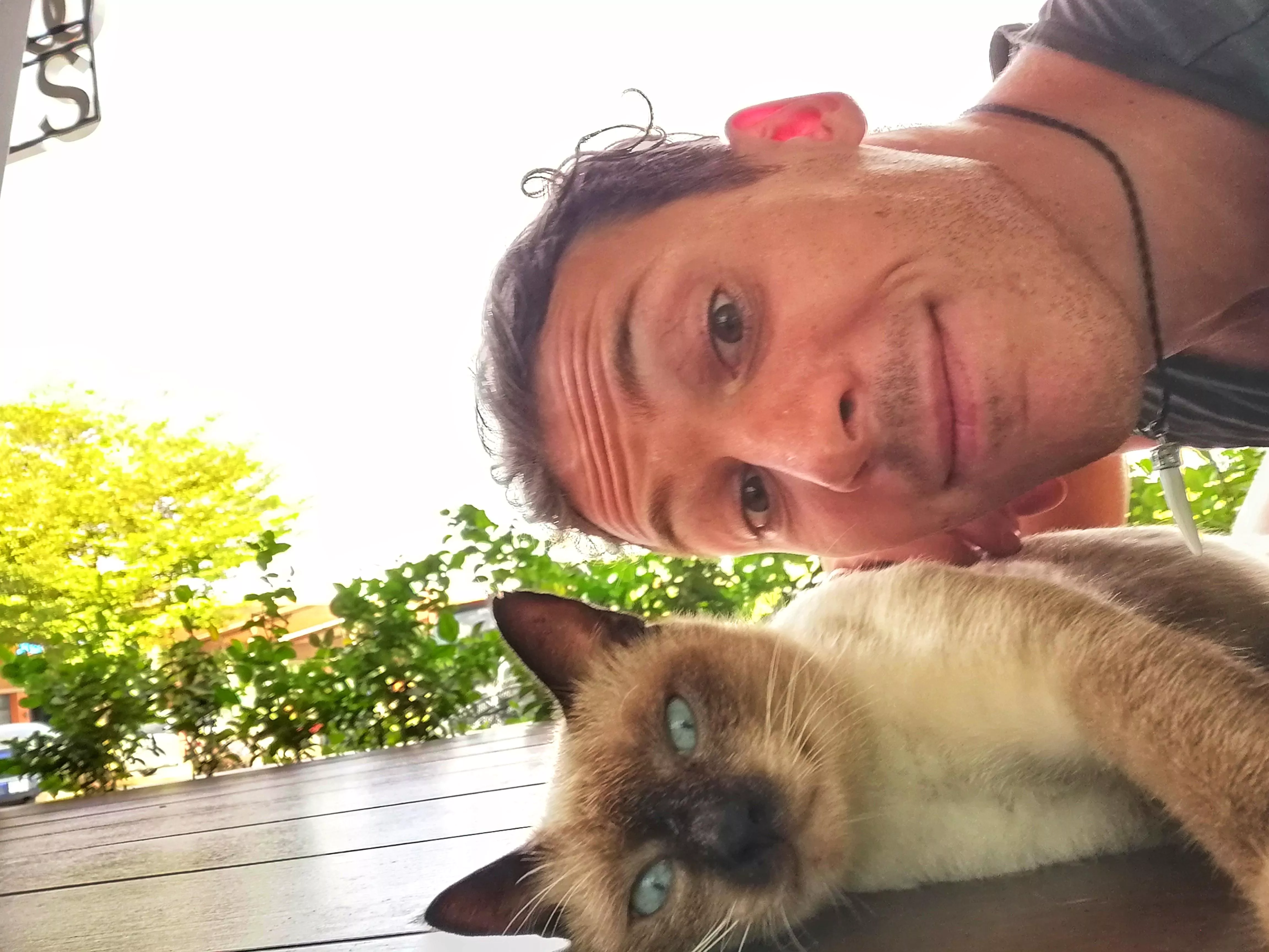 I just lay there and purred until some strange guy came up to me with his camera😸 posted by Siriusius