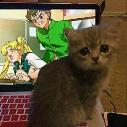 LF color source: 1girl, 1boy, school uniform, very long hair, blonde hair, indoors, from behind, closed eyes, open mouth, blush, look at another, no bra, breasts outside, sex, brown eyes, meme, sailor moon, usagi tsukino. by bigboysh1t