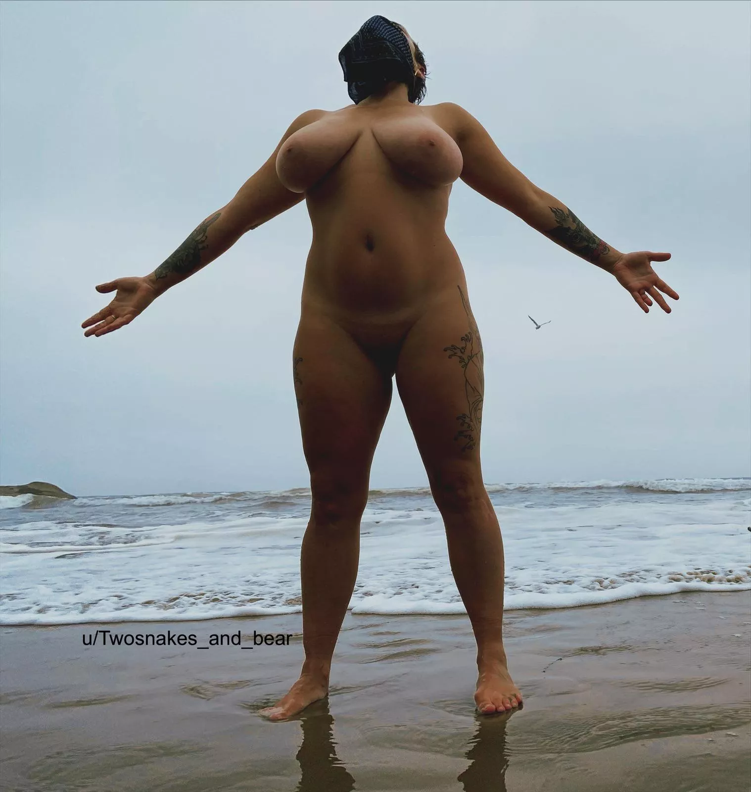 Missing the Pacific Ocean posted by Twosnakes_and_bear